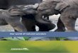 Our world of natural wonders...Our world of natural wonders ANNUAL REPORT 2009–2010 A Shared Future The Taronga Conservation Society Australia is committed to creating direct and