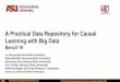 Learning with Big Data A Practical Data Repository …lcheng35/bench_slides.pdfData Mining and Machine Learning Lab A Practical Data Repository for Causal Learning with Big Data Does