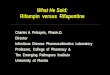 What He Said: Rifampin versus Rifapentineregist2.virology-education.com/2016/9TBPK/06_Dooley.pdfof OH-MDZ (UDP . glucuronidation) was found enhanced, 3 fold by RIF and 4.5 by RPT