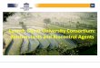 Launch Ghent University Consortium: Biostimulants and … · 2016-04-18 · 16:05: Eliminating barriers to innovation and creating a single EU market for biostimulants by Philip Delistoyanov