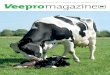 Dairy magazine of Veepr o Holland Vol. 91 November 2015 …€¦ · Colophon Publisher Veepro Holland Louis Braillelaan 80, 2719 EK Zoetermeer, P.O. Box 348, 2700 AH Zoetermeer Phone: