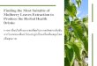 Finding the Most Suitable of Mulberry Leaves Extraction to ...ie.eng.cmu.ac.th/IE2014/downloads/2020_04/909/38-Present.pdf · Finding the Most Suitable of Mulberry Leaves Extraction