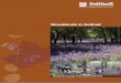 Solihull Woodland Strategy 2010 – 2014• Creation of new woodland and the enhancement of existing woodlands and utilising opportunities presented by new development through statutory