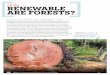 HOW RENEWABLE ARE FORESTS? · 10/29/2014  · Heavy rains can cause floods as rivers fill too quickly and overflow. Heavy rains and floods also wash away a lot of soil. Without soil,