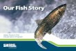 Our Fish Story - docs.idahopower.com€¦ · Idaho Power’s Fish Conservation Program Our Fish Story. Since 1916, water provided Idaho Power customers with low-cost, clean hydroelectric