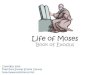Life of Moses · Moses the Prince of Egypt. Moses in the Wilderness. Moses and the Burning Bush. Moses and the 10 Plagues. Moses Parts the Red Sea. Moses and Manna from Heaven. Moses