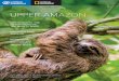 UPPER AMAZON - Lindblad Expeditions · TWO WORLD WONDERS, ONE DIVERSE COUNTRY In 2011, 100 million people worldwide elected the Amazon as one of the New Seven Wonders of Nature and