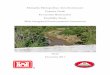 Cypress Feasibility Draft - Memphis District Corps of Engineers · 2016-01-05 · Feasibility Study . With Integrated Environmental Assessment. Draft . December 2015 . ... Alternatives