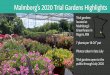 Malmborg’s 2020 Trial Gardens Highlights€¦ · Malmborg’s 2020 Trial Gardens Highlights Trial gardens located at Malmborg’s Greenhouse in Rogers, MN 7 plants per 18-20”