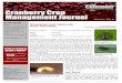 Cranberry Crop Management Journal - Wood County · 2012-09-08 · Flea Beetle and more Flea Beetle seem to be the pest of the moment. We have success stories to share with controlling