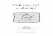 User Guide Provided by The Montana Historical Society ...€¦ · Prehistoric Life in Montana— Explores Montana prehistory and archaeology through a study of the Pictograph Cave