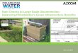 Rain Checks to Large Scale Disconnection Balancing ...garden, patio, planter! GREEN HOMES PWD STORMWATER TOOL WAIVER: • Assume all liability and release the City and PHS ... PowerPoint