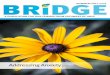 BRiDGE SUMMER/FALL 2016 A PUBLICATION FOR OUR FRIENDS … · what to expect after a loss. Mundy spells out what is normal, invites questions, encourages sharing, and offers a positive,