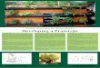 Urban Farming for Households ... - Impuls Mittelschule · pe, I am now building a user-specic pro-totype that takes into account the wish list of potential users in terms of design,