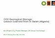 CO2 Geological Storage: Lesson Learned from In …...CO2 Geological Storage: Lesson Learned from In Salah (Algeria) Iain Wright (CO 2 Project Manager, BP Group Technology) SBSTA Meeting
