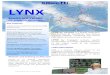 LYNX - Gillam€¦ · LYNX transport brochure rev0_GB.pdf 2 Traction power network management LYNX provides dynamic views of the electric railways power network status. From the MV