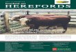 Issue 140 FeBRuARY 2016 hooked on HEREFORDS · to develop, as the demand for quality assured protein is growing alongside the population,’’ she said. 2016 Herefords Australia