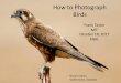 How to Photograph Birds - MITfet/How to Photograph Birds - FNAL.pdf · 2017-10-20 · Great Blue Heron (Ardea herodias) off the coast of Texas with Nikon D300s, 300x1.7 mm, f/5, 1/1250