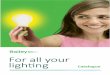 For all your ligh ng...Bailey is all about light and lighting. For over 27 years Bailey is the right address for all questions about lighting, lamps, fixtures and special light applications