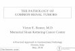 THE PATHOLOGY OF COMMON RENAL TUMORS Victor E. Reuter, … The patholo… · 1976: Papillary Renal cell carcinoma (Mancilla-Jimenez et al) Cancer 1976: ... Comprehensive molecular