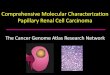 Comprehensive Molecular Characterization Papillary Renal ... Comprehensive Molecular Characterization