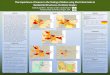 The Importance of Season in the Testing of Radon using ... · This PowerPoint 2007 template produces a 36x48 inch professional poster. You can use it to create your research poster