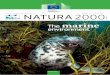 Number 37 | January 2015 NATURA 2000ec.europa.eu/environment/nature/info/pubs/docs/nat2000...newsletter January 2015 CONTENTS 3–5 Tackling invasive alien species 6–7 The Birds