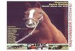 Kentucky Horse Racing Horse Racing Heads Above the Rest Kentucky Horse Racing Authority 2004-2005 Biennial