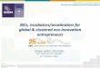 BICs, incubators/accelerators for global & clustered eco ...ec.europa.eu/environment/archives/ecoinnovation2011/2nd_forum... · BICs’ core business/competences a standards for Innovation-based