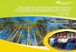 The Impacts of Technical Asistance on a Community Forest ... · Rainforest Alliance personnel. Agreements were recognized and 1Forestal Alfa S. A. of C.V. is a private forest company