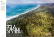 It ’s a Jungle I n t here€¦ · Wildlife-rich Costa Rica is one of the world’s great ecotravel destinations. But to really experience its nature— rainforest primeval, untrammeled