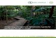 Cooperative management agreements: a guide for Rainforest ... · A Rainforest Aboriginal representative organisation or native title holder agrees in some way to contribute to the