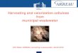 Harvesting and valorization cellulose from municipal wastewater · 2016-02-29 · Harvesting and valorization cellulose from municipal wastewater EIP-Water ARREAU workshop Leeuwarden,