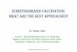 schistosomiasis vaccination: what are the best approaches? · African Trypanosomiasis Leishmaniasis Babesia Filariasis Cysticercosis Fascioliasis Hydatid disease Trichinellosis Gnathostomiasis