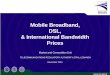 Mobile Broadband, DSL, & International Bandwidth Prices files/TRAPresentations/20111… · • The decrease illustrates the transition of the 3G Mobile Network in France from phase