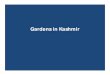 Gardens in Kashmirddeku.edu.in/Files/2cfa4584-5afe-43ce-aa4b-ad936cc9d3be... · 2017-06-13 · Mughal Garden, Shalimar • Shalimar garden was built by Mughal Emperor Jehangir in