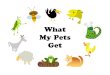 What My Pets Get - PEPSA Learning Curvelearningcurve.fmhi.usf.edu/What My Pets Get/What My... · My Pets Get. My pet gets a with a . My pet gets to in a. My pet gets to from a. My