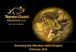 Growing the Morelos Gold Project - Issuer Directedg1.precisionir.com/companyspotlight/NA019094/TorexFeb... · 2013-04-22 · • Near-term, high grade open pit project at ... –
