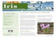 Two New Species for Alberta In This Issue · Iris ♦ The Alberta Native Plant Council Newsletter ♦ No. 78 January 2016. 2. . Dragon’s mouth is a strikingly beautiful orchid that