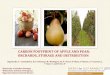 CARBON FOOTPRINT OF APPLE AND PEAR: …...Carbon footprint –Agricultural phase 8 The lowest farming emissions were calculated for apples produced by orchard B in 2011 C (+13%) and