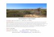 PROPERTY REPORT · 2019-10-17 · PROPERTY REPORT ADDRESS: Mountain Rim Dr., Fallbrook, CA 92028 DESCRIPTION: Incredible panoramic views and ocean breezes make this view lot one to