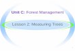 Unit C: Forest Management Lesson 2: Measuring Trees · standing trees? · The cut-off point for sawtimber trees varies from 15 to 25 centimeters. · Merchantable height for a pulpwood