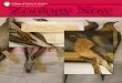 College of Letters & Science UNIVERSITY OF WISCONSIN ...€¦ · Passenger pigeons once crowded the skies in the tens of millions. Today, their sudden extinction serves as an alarming