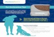 Pet Acclimation Tips - Dog & Cat Food Dispenser · Tips to Help Your Cat Adapt to a Collar TM ˜ Find a collar that’s not too tight and includes a breakaway feature for safety (no