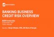 BANKING BUSINESS CREDIT RISK OVERVIEWbgeo.com/uploads/presentations/bgeo-investor-day-2017... · 2017-11-13 · LOAN PORTFOLIO DYNAMICS NET BANKING BUSINESS LOAN PORTFOLIO * Other