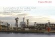 Longford Crude Oil Stabilisation and Gas Plants · 2020-06-22 · Hazard Any activity, event, procedure, situation or circumstance that could cause or could potentially lead to a