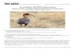ITINERARY MYSTERIES OF SOUTHERN PERU Nazca Lines, … · 2015-09-03 · Nazca Lines, Undescribed Antpittas & Tapaculos November 21-December 5, 2015 Black-faced Ibis photographed by