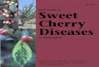 Field Guide to Sweet Cherry Diseases · EB 1323E Field Guide to Sweet Cherry Diseases in Washington By Kenneth C. Eastwell, Gary A. Grove, Dennis A. Johnson, Gaylord I. Mink, Ralph