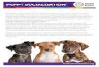 PUPPY SOCIALIZATION · PUPPY SOCIALIZATION The first three months of a puppy’s life are the most important in their entire lifetime. Their experiences and exposure during this crucial
