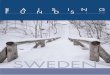 SWEDEN · 2017-11-07 · copy invoice from the company. The full credit risk is transferred to the Factor only in case of invoice sale, while it remains with the business in case